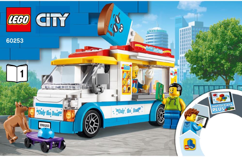 60253